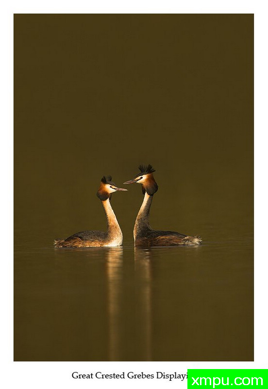 对称---著名摄影师：丹尼绿色摄影