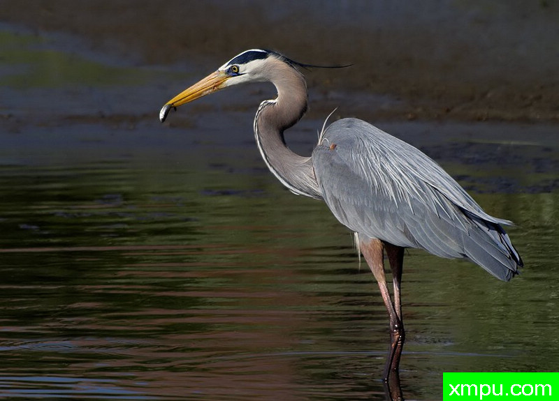 小零食---著名摄影师：TMJ摄影[美国]