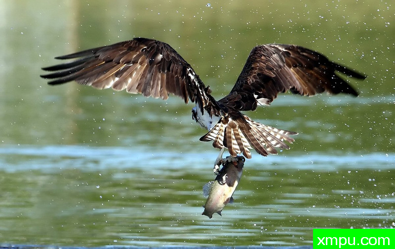 从另一端的一个观点-著名摄影师：TMJ摄影[美国]