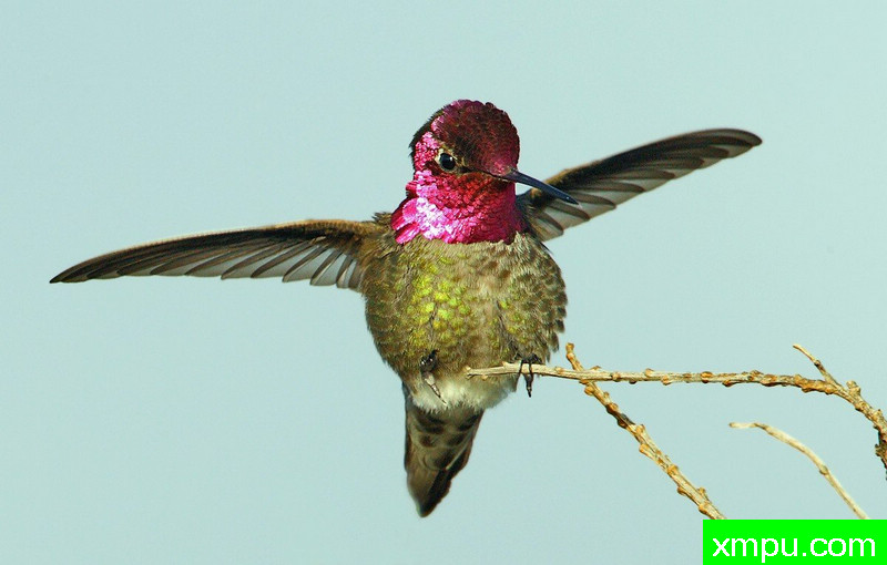 先生安娜玩！---著名摄影师：TMJ摄影[美国]