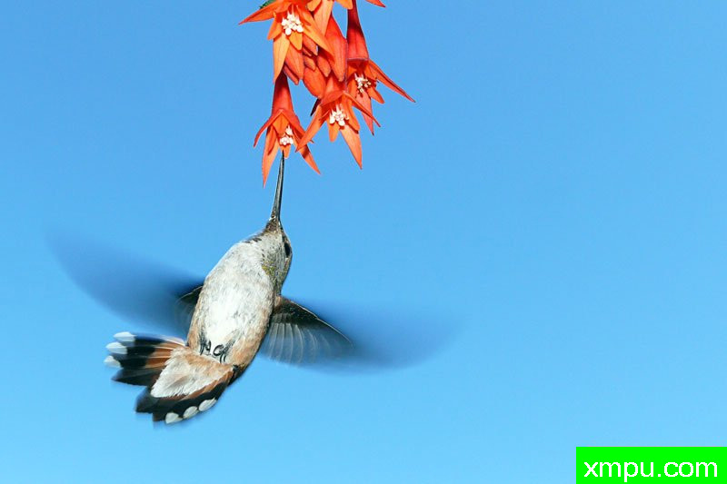 上午餐！---著名摄影师：珍妮李显能摄影