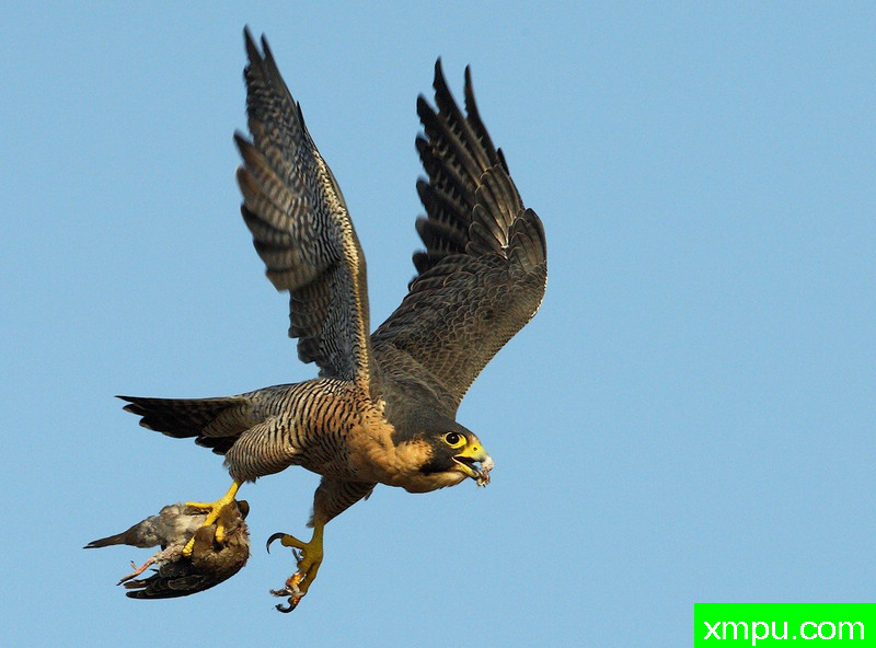 快餐---著名摄影师：TMJ摄影[美国]