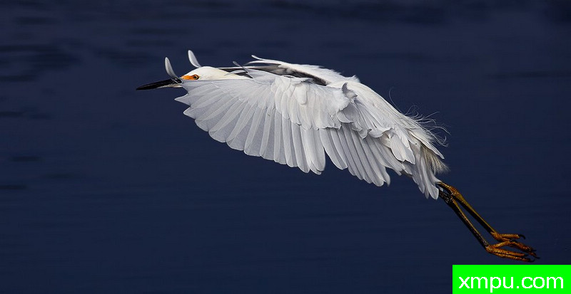 幻影新港Backbay ---著名摄影师：TMJ摄影[美国]