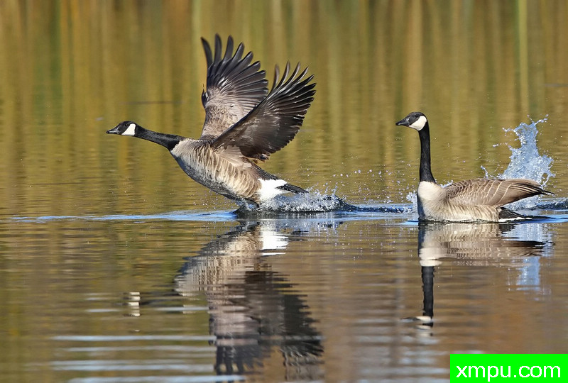 我欧塔-著名摄影师：TMJ摄影[美国]