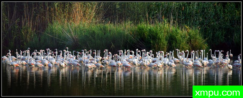 延伸的边缘---摄影师： Giangiorgio Crisponi摄影