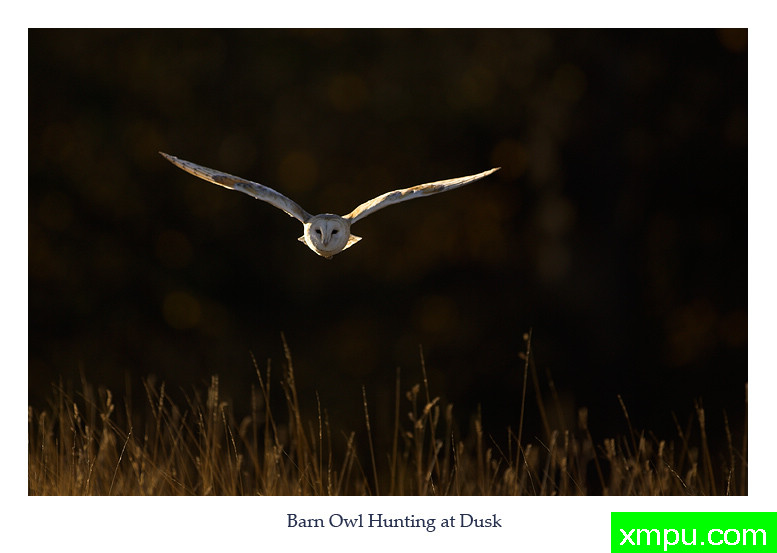 平衡---摄影师： 丹尼绿色摄影