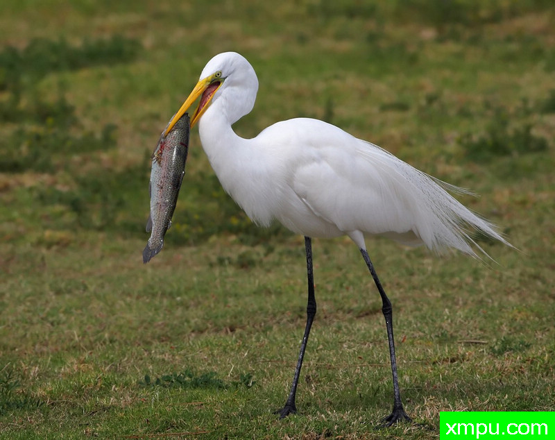 胜利者的微笑---著名摄影师：TMJ摄影[美国]