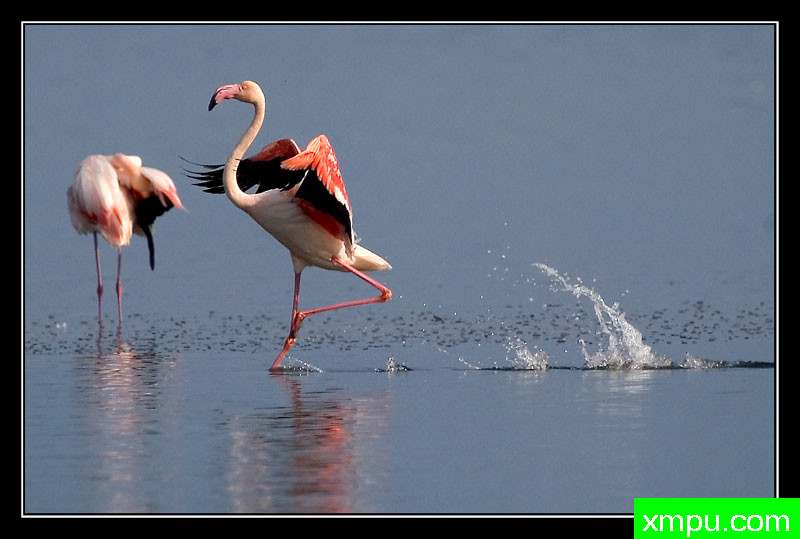 水舞[撒丁岛] ---摄影师： Giangiorgio Crisponi摄影