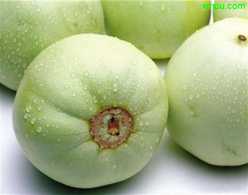 白兰瓜图片及白兰瓜种类