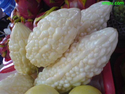 白苦瓜图片及白苦瓜种类