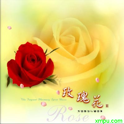 黄玫瑰