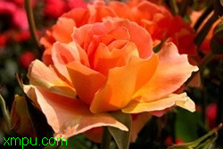 7ab514d15f7621c6562c8462