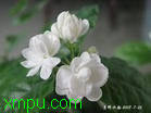79b1e9369036dd2d0b55a937