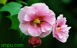 4abae5eda59fd26179f0550e