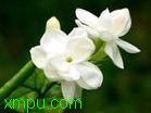 dc15484e79ad7515b2de0537