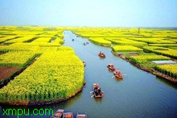7ac88051a921241243a75b6d