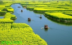 0db2c9ca79502170f31fe776