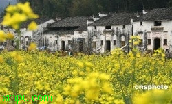 fcbbb1519d6ebaab8d543071