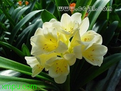 f95898184c7aa4964aedbc00