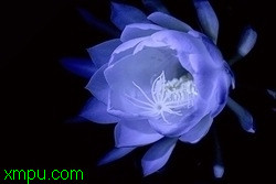 b6045da998661fc51e17a2df