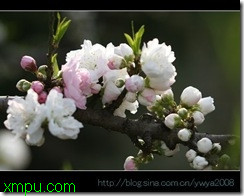 d872d695b13ddb53d1135eb3