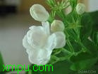 f392492c7e290df08b139930