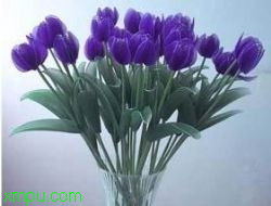 42577322fd0c52b14623e8f9