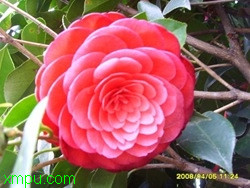 0b907cd9019a490e11df9bc9