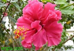 0b14ad198be5307d43a9adff