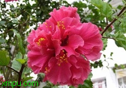 0fb505d5974a5afc51da4bf9