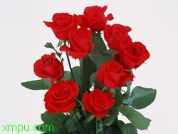 d68b65cb6e613807be09e6e5