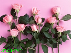 c8ab0bce4cf91f21b600c8e0