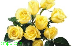 310f3b1f5c780bd0a6866968