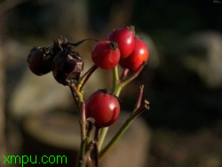 eab9044c3ce812e4d62afc22
