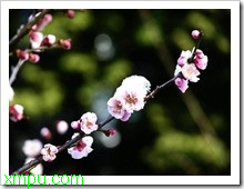 a8405208d17356860a7b82ae