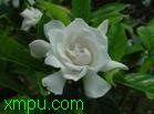 3b6833f5f5fcf701bc310903