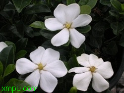 3bb224879390fa0bc75cc347