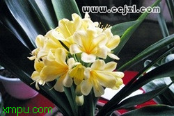 4bac3073191cd9008601b042