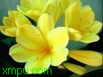f7657560c6feed58eaf8f84f