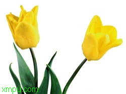 bd7faf351bb8f09ea61e12fc