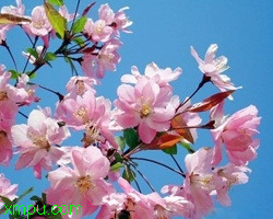 9dc3cf58760eb698810a1868