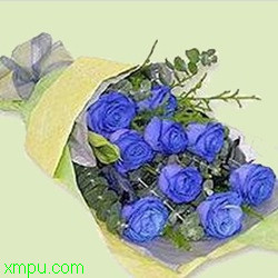 207ea60ed728eaff37d1227a