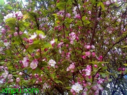b29f82820e9c789e6d811943