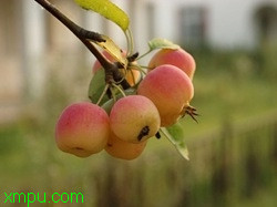 a0ca99d607ad7f3606088b49