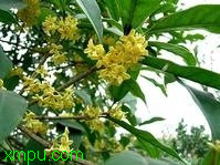 389aa8fded5ad80c09244df3
