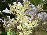 207ea60e19d25cfd36d122fd