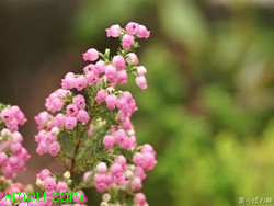 bd704260b2995fe98db10dcc