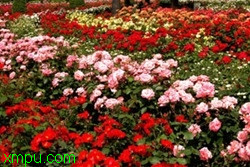 d002b34b691453ef82025c03