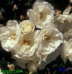 6dc09e0a5586f713b1351da8