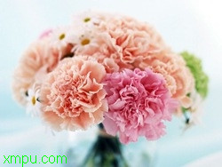 cdfe7281affd7ec2bd3e1e36